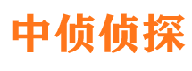 沙雅寻人公司